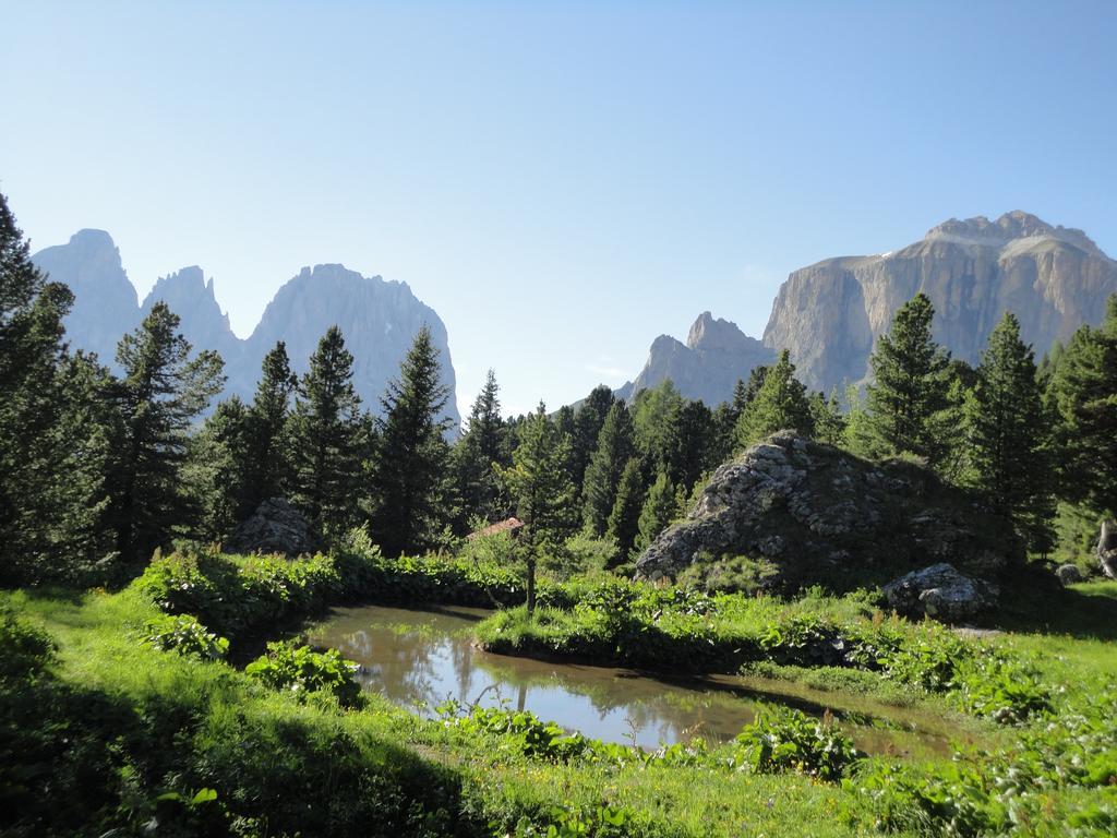 Sella Ronda Apartment Campitello di Fassa Exterior photo